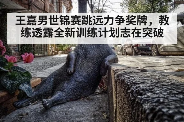王嘉男世锦赛跳远力争奖牌，教练透露全新训练计划志在突破